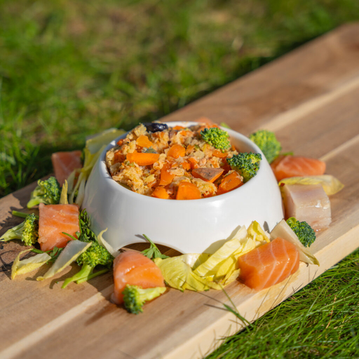 Mascota Box visgerecht voor honden