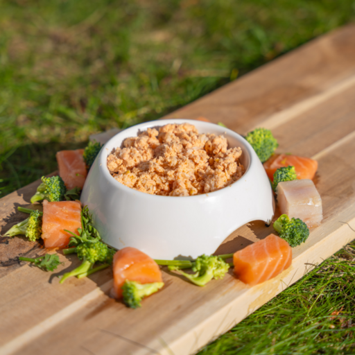 Visgerecht voor katten