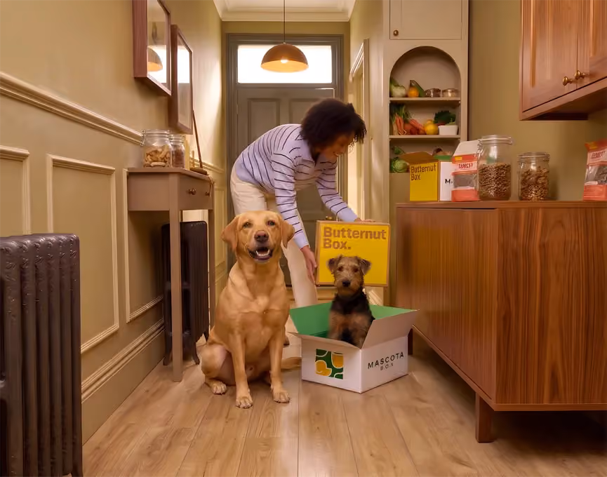 Mascota Box en Butternut Box samen