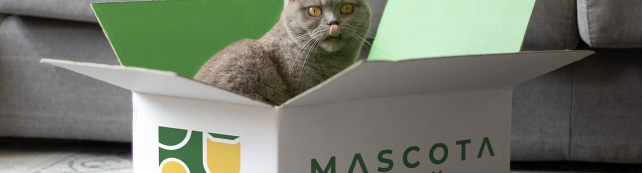 Mascota Box kat